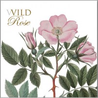 Kartenordner Wilde Rosen mit 8 Doppelte Kunstkarten und Umschläge 12.00